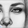 Sketch Drawing Lena
