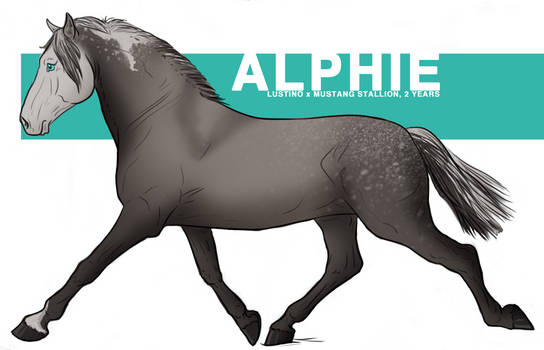 ALPHIE REFERENCE SHEET