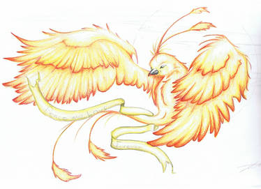 phoenix