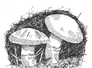 Mushrooms