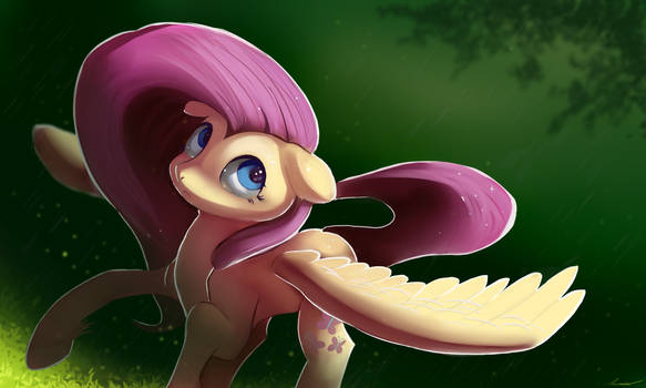 Flutters