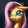 Shy