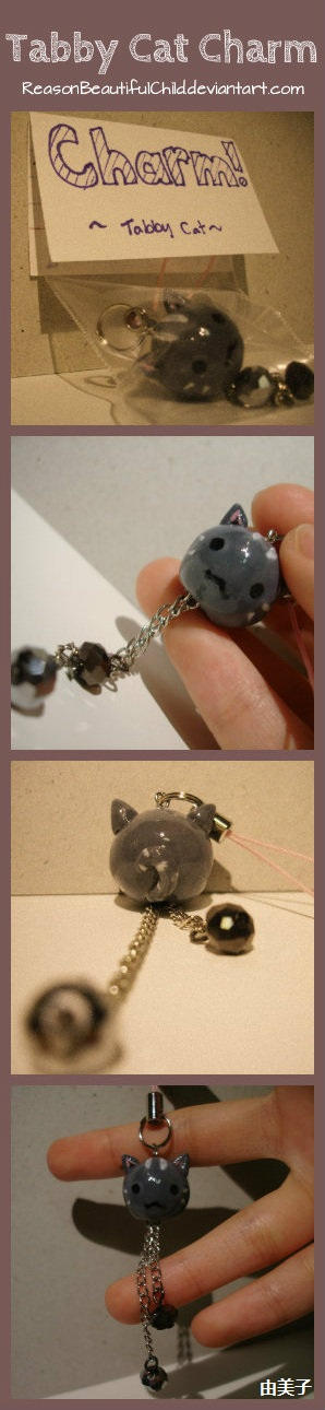 Tabby Cat Charm