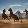 On the Steppe