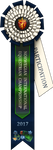 NIEC2017 Participation ribbon by Prettybold