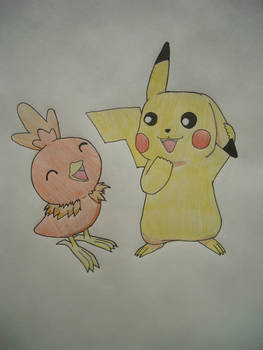 Torchic and Pikachu