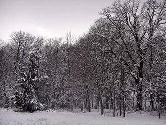 Nebraska Winter by jenniferhl72