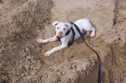 Playing in the Sand