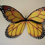 Monarch Butterfly wings Adult