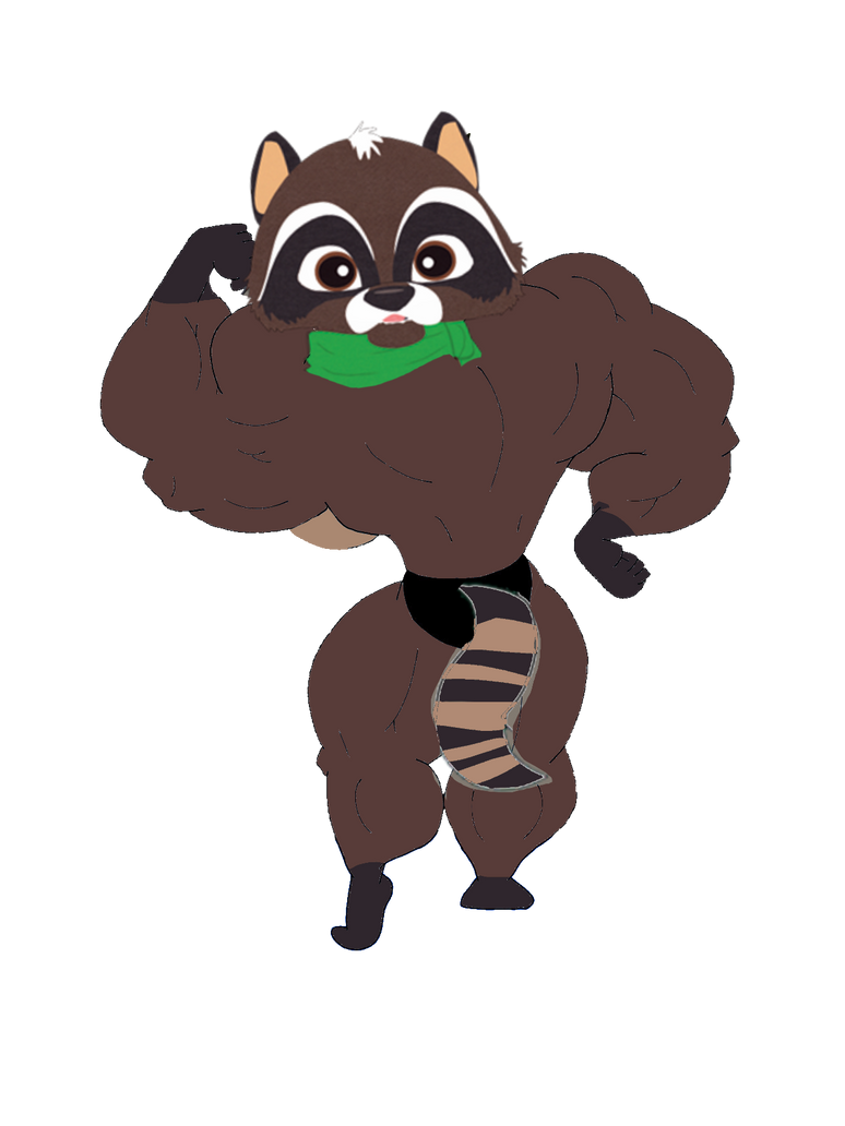 Raccony Randal Buff Raccoony The Raccoon by kazman42 on DeviantArt