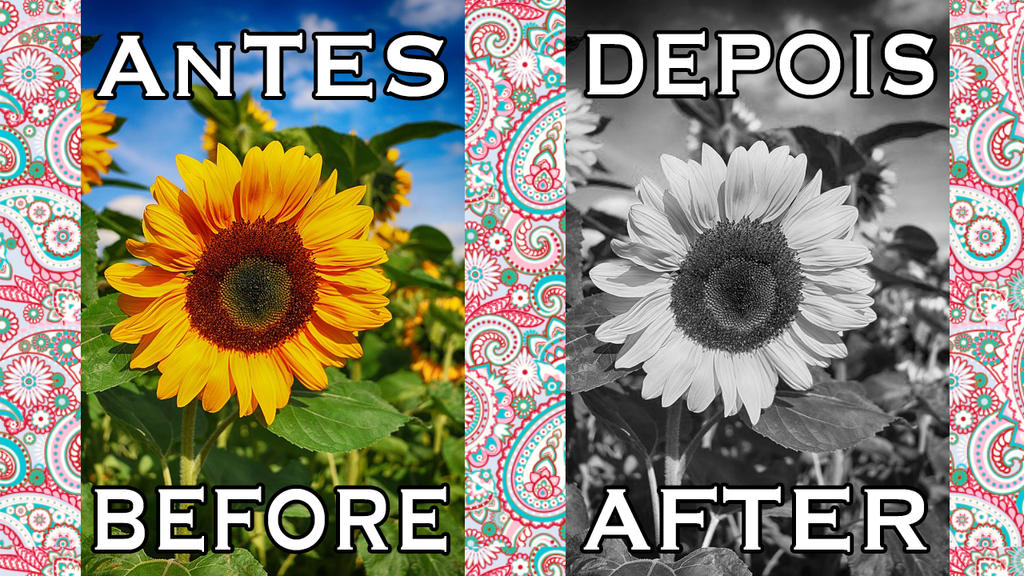 Convert Photos To Black And White In Photoshop By Arttutorialsbr On convert-photos-to-black-and-white-in-photoshop-by-arttutorialsbr-on