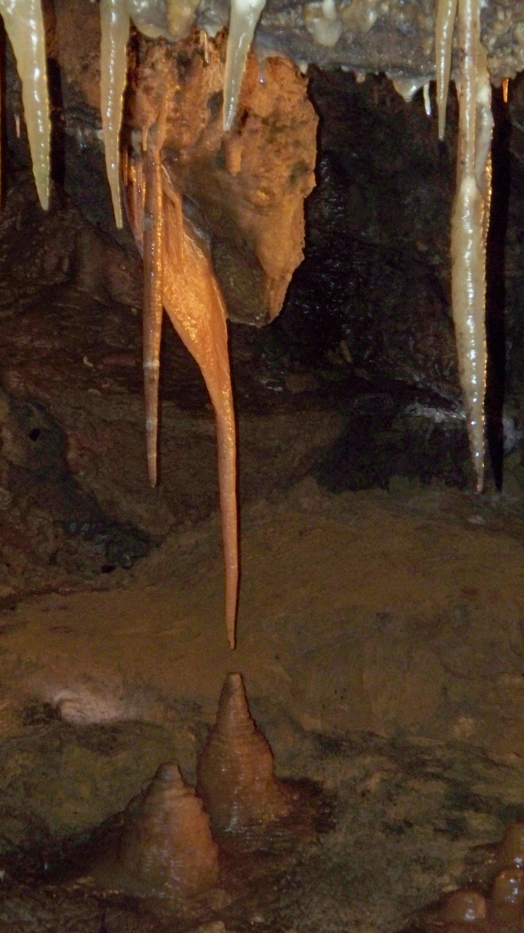 Cave Stalactite