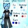 Cobii Reference Sheet 