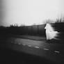 The white lady I