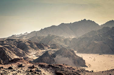 The Sinai