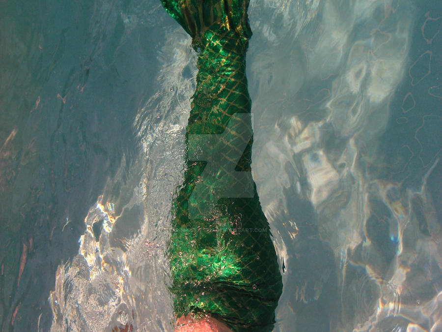 Mermaid tail 2 by missfit1023 on DeviantArt