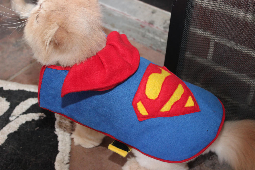 Superman pet coat