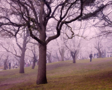 Canada - Ontario - Toronto - High Park - 02