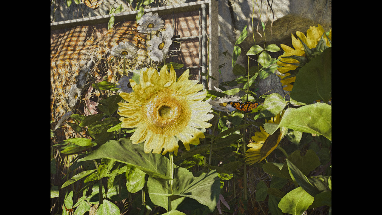 The Division 2 Zoo By Collegehill On DeviantArt the-division-2-zoo-by-collegehill-on-deviantart