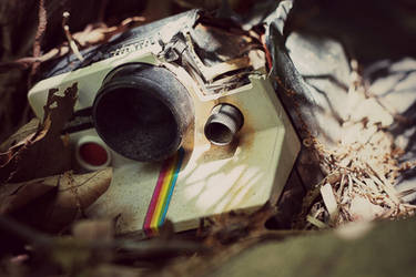 Explore the Best Instant Art | DeviantArt