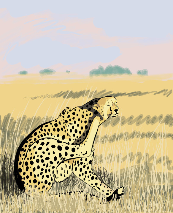 Lazy Cheetah