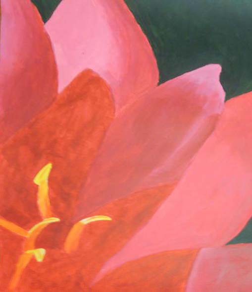 Georgia O'keefe Flower by Krisderp on DeviantArt