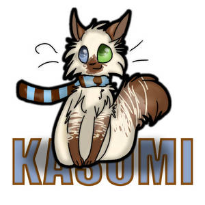 Kasumi the Cat