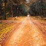 The Path to Winter