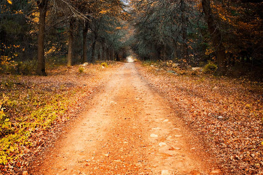 The Path to Winter