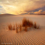 Desert Storm 2 by hougaard