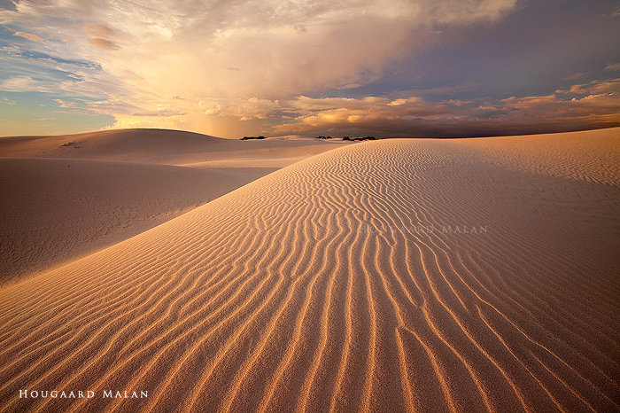 Desert Storm 3 by hougaard