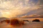 Desert Storm 4 by hougaard