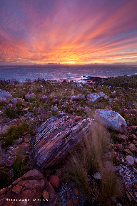 The Cape Peninsula