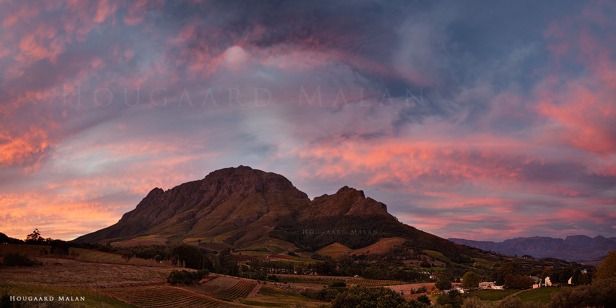 Stellenbosch Autumn