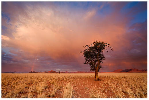 Autumn in the Desert