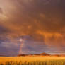 Curtain of Rain