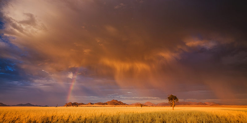 Curtain of Rain