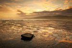 Out of Place by hougaard