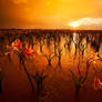 Namibian Eden