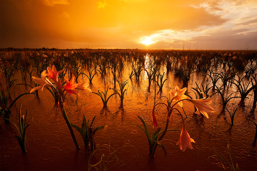 Namibian Eden