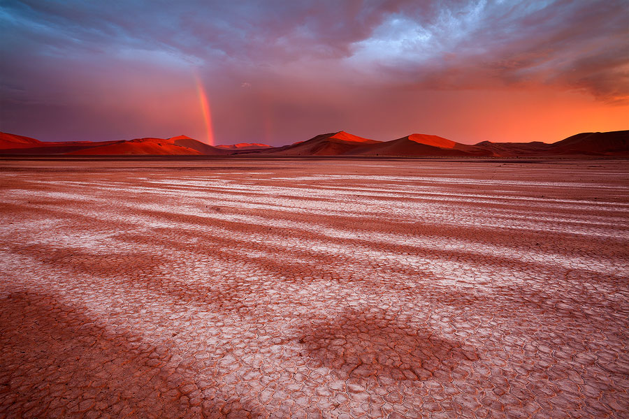 The Namib