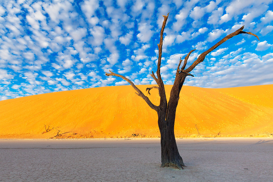 Iconic Deadvlei