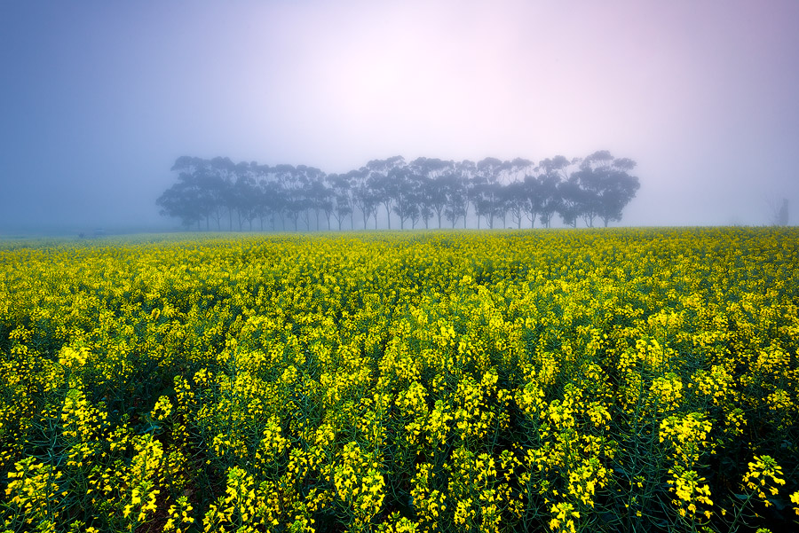 Winter in the Overberg by hougaard