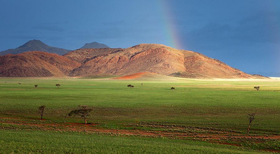 Namibian Storm
