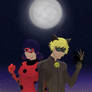 Miraculous LadyBug and Chat Noir