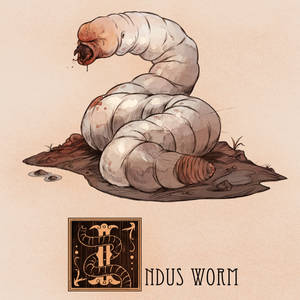 I is for Indus Worm