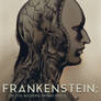 Frankenstein: Or the modern Prometheus cover