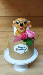 Birthday Cake Chihuahua Love