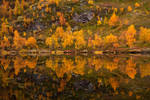 Autumn colors by aptenodyte-s