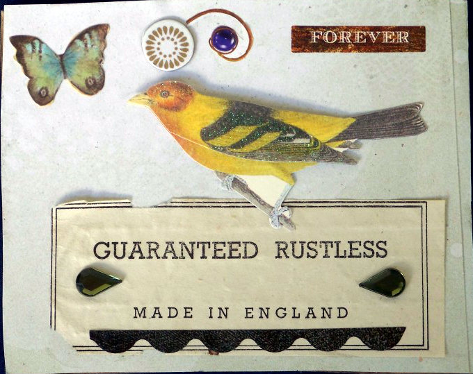 Forever Rustless